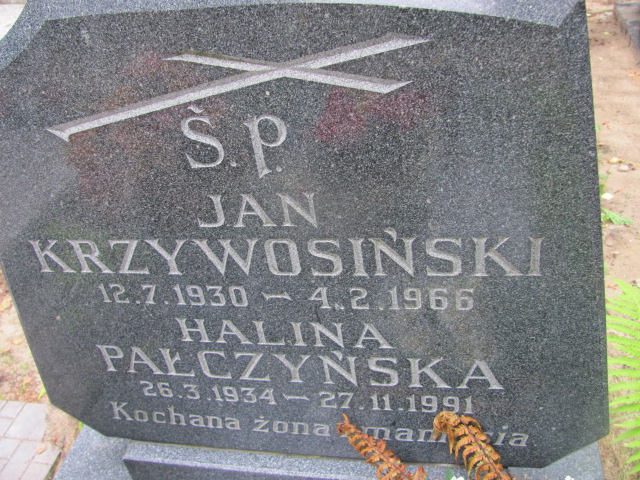 Jan KRZYWOSIŃSKI 1930 Gdynia - Grobonet - Wyszukiwarka osób pochowanych