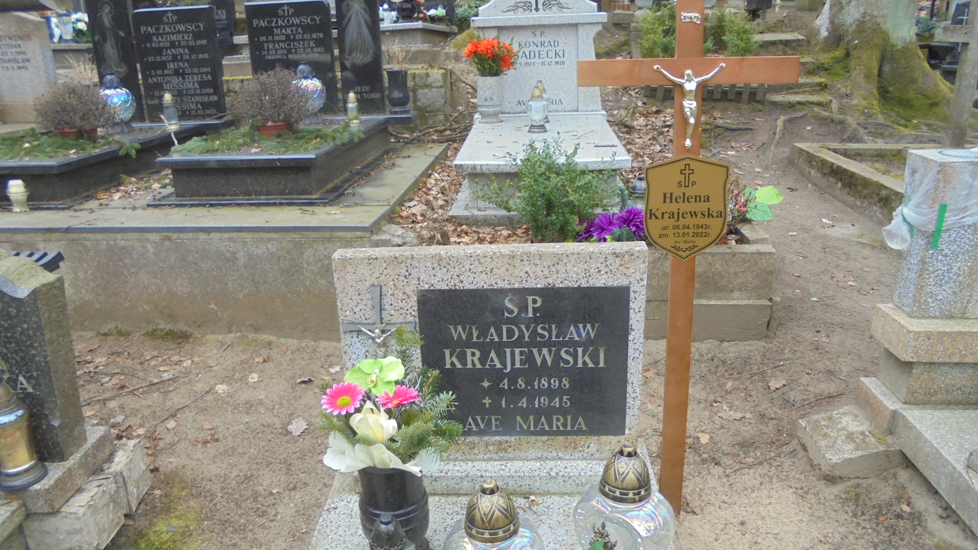 Władysław KRAJEWSKI Gdynia - Grobonet - Wyszukiwarka osób pochowanych