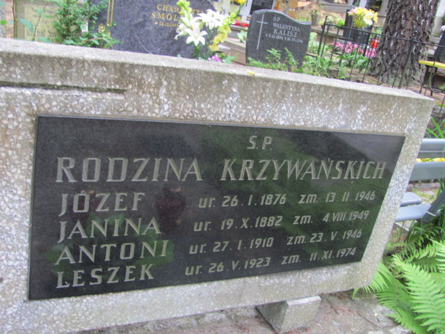 Janina KRZYWAŃSKA Gdynia - Grobonet - Wyszukiwarka osób pochowanych