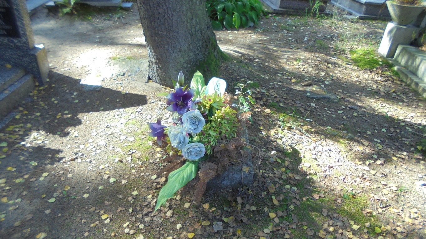 Cecylia KOWALEWSKA 1869 Gdynia - Grobonet - Wyszukiwarka osób pochowanych