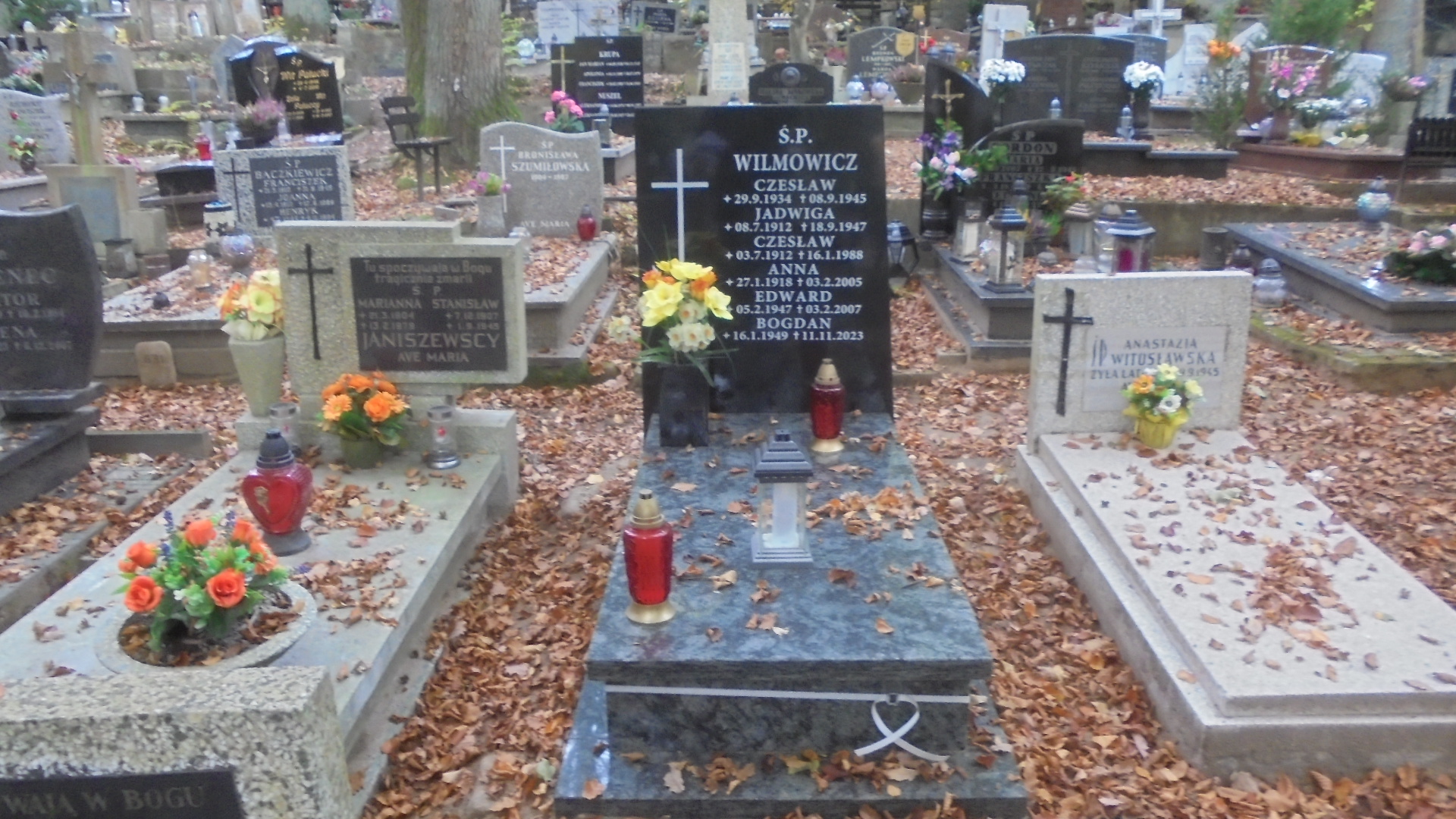 Czesław Edward WILMOWICZ 1934 Gdynia - Grobonet - Wyszukiwarka osób pochowanych