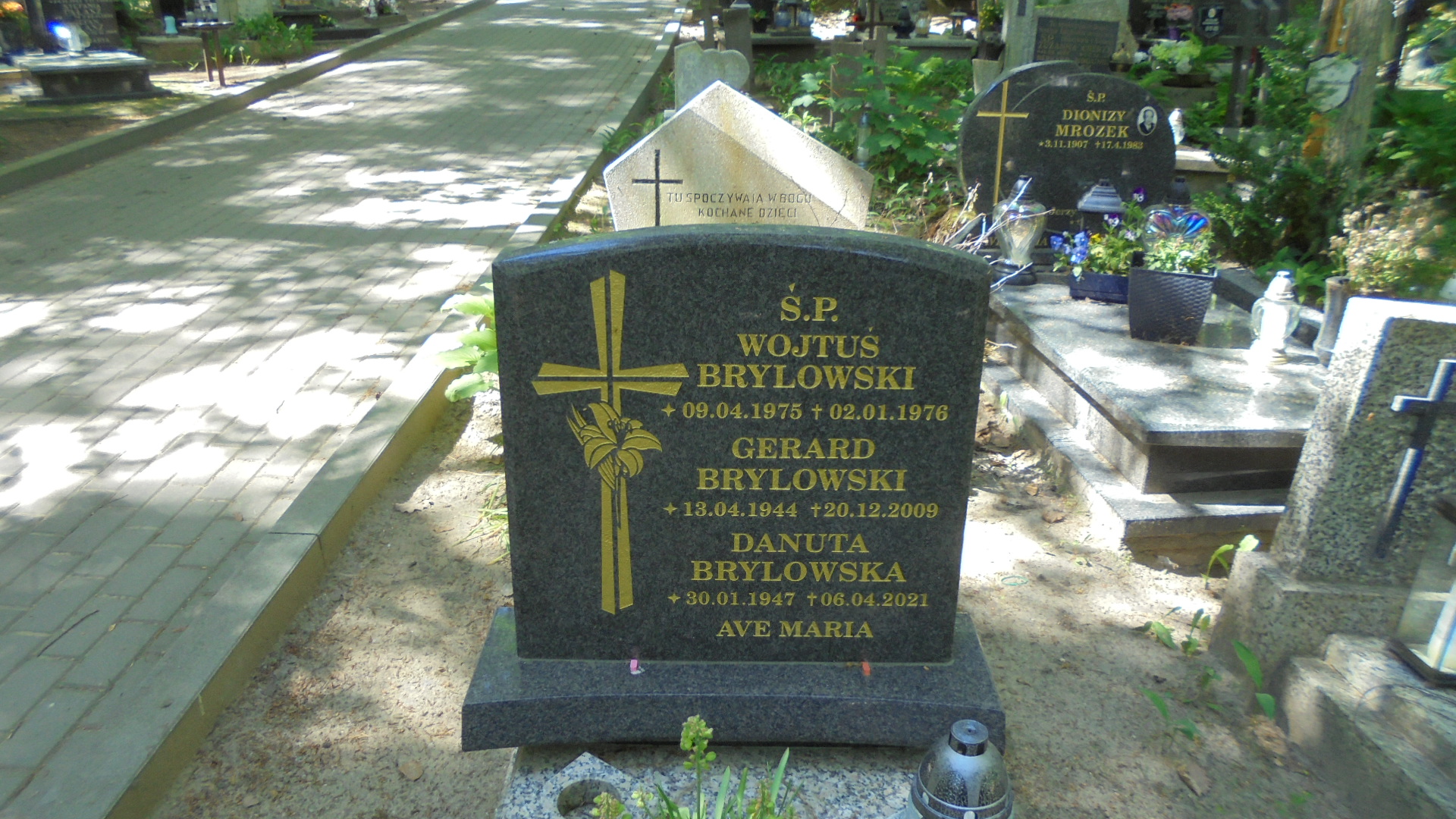 Gerard Franciszek BRYLOWSKI 1944 Gdynia - Grobonet - Wyszukiwarka osób pochowanych