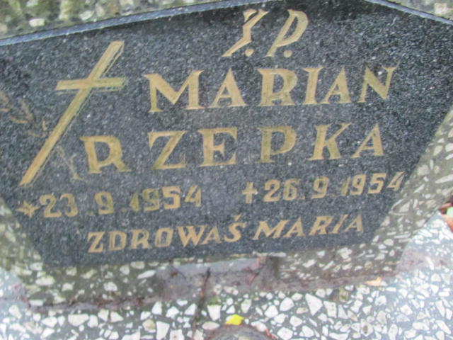 Marian RZEPKA 1954 Gdynia - Grobonet - Wyszukiwarka osób pochowanych
