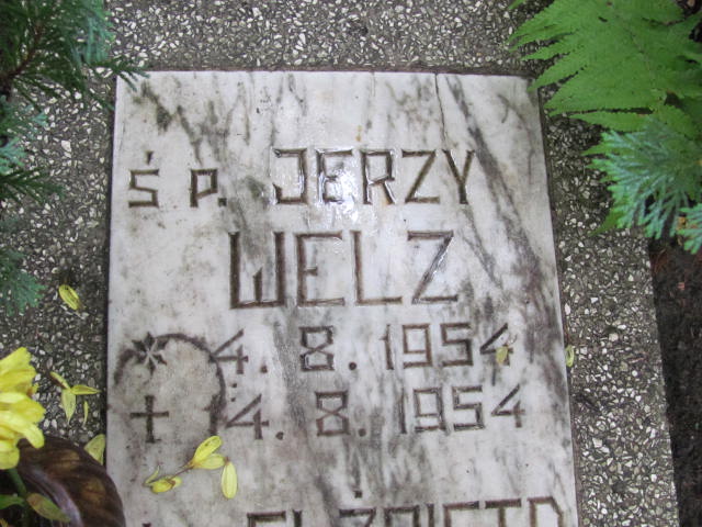 Jerzy WELZ 1954 Gdynia - Grobonet - Wyszukiwarka osób pochowanych