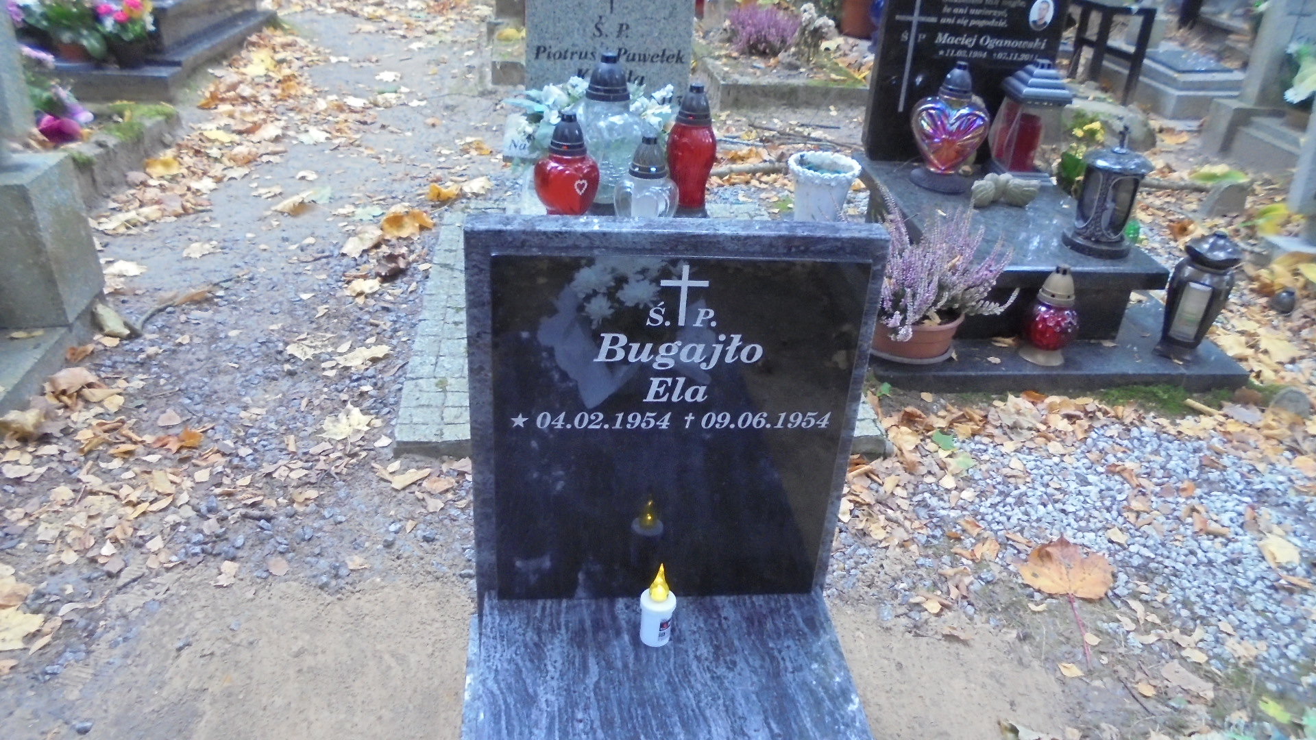 Ela BUGAJŁO 1954 Gdynia - Grobonet - Wyszukiwarka osób pochowanych