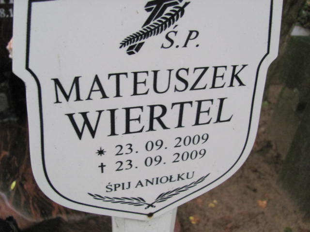 Mateusz WIERTEL 2009 Gdynia - Grobonet - Wyszukiwarka osób pochowanych