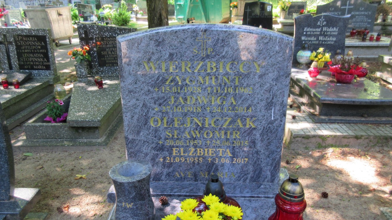 Sławomir OLEJNICZAK 1953 Gdynia - Grobonet - Wyszukiwarka osób pochowanych