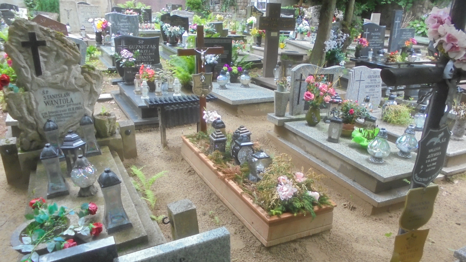 Stanisława SIPOWICZ 1913 Gdynia - Grobonet - Wyszukiwarka osób pochowanych