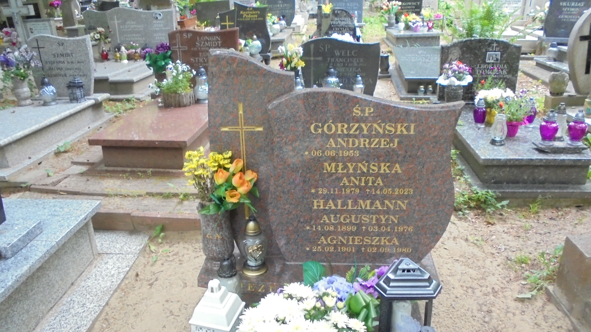 Augustyn HALLMANN Gdynia - Grobonet - Wyszukiwarka osób pochowanych