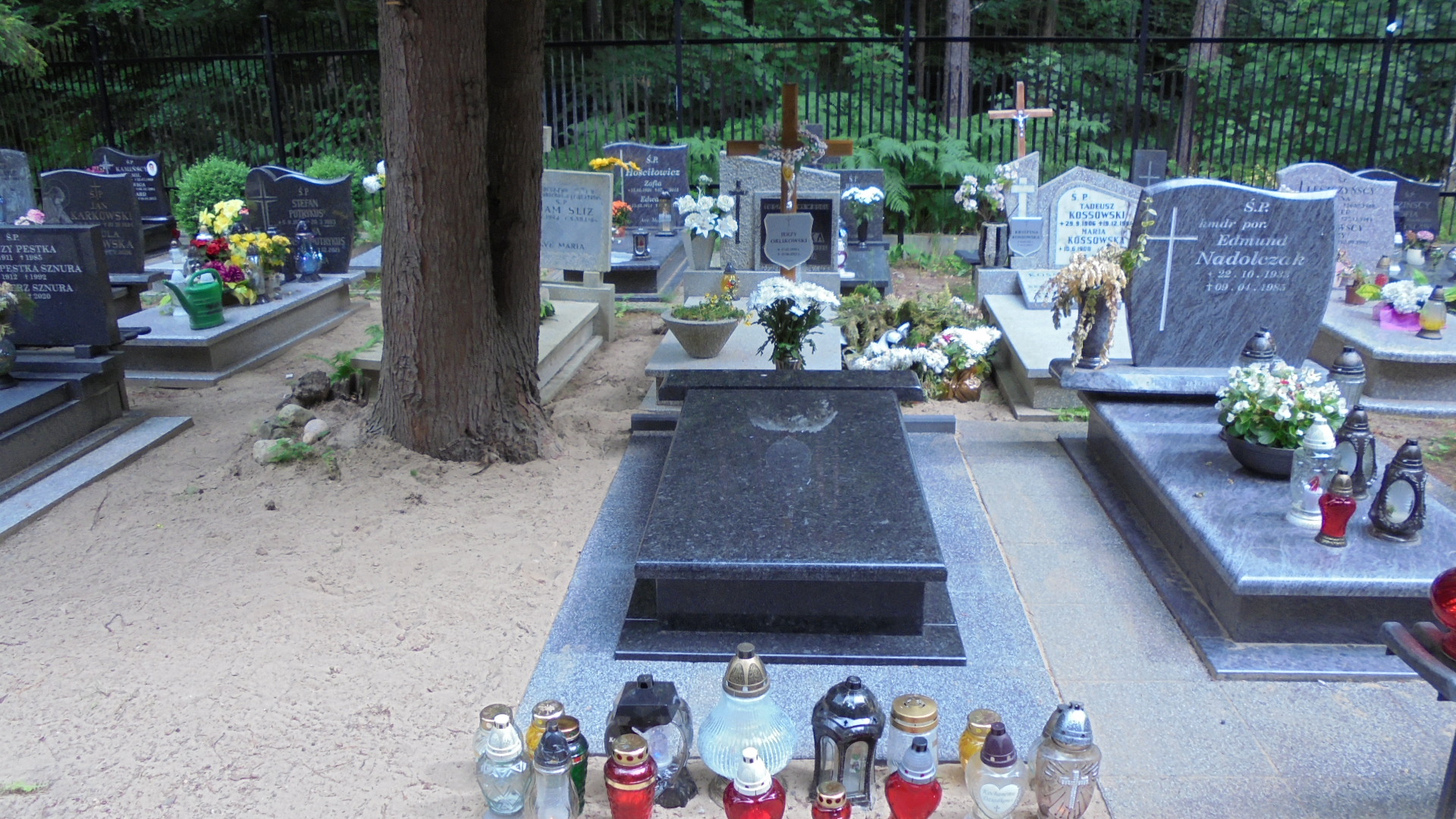 Feliks ORLIKOWSKI Gdynia - Grobonet - Wyszukiwarka osób pochowanych