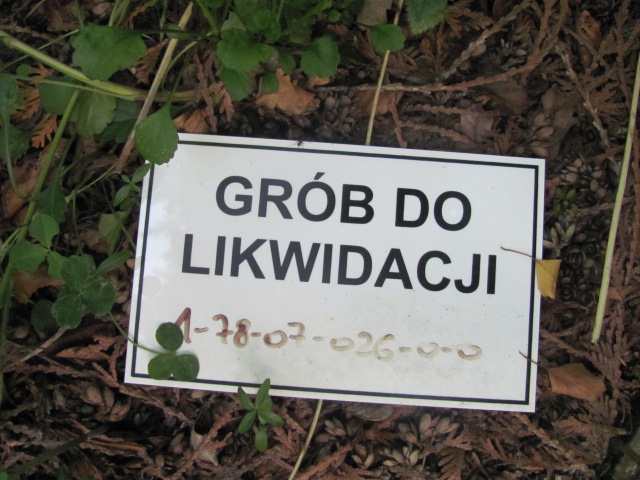 Zdjęcie grobu