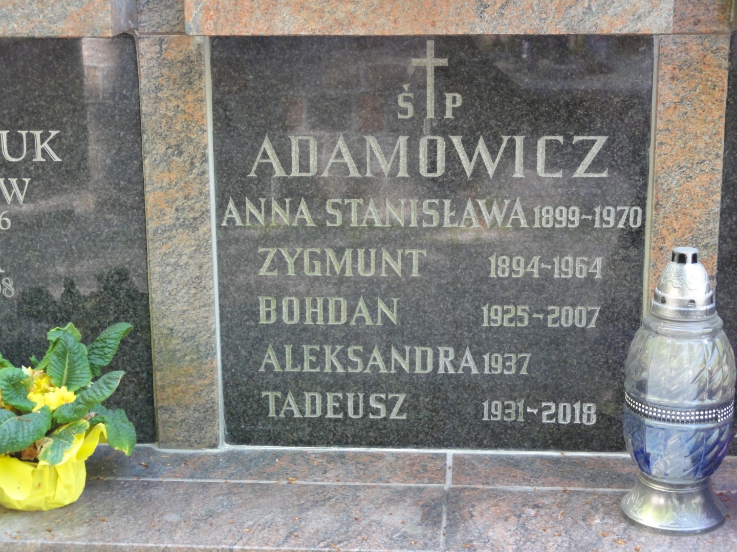 Anna Stanisława ADAMOWICZ 1899 Gdynia - Grobonet - Wyszukiwarka osób pochowanych