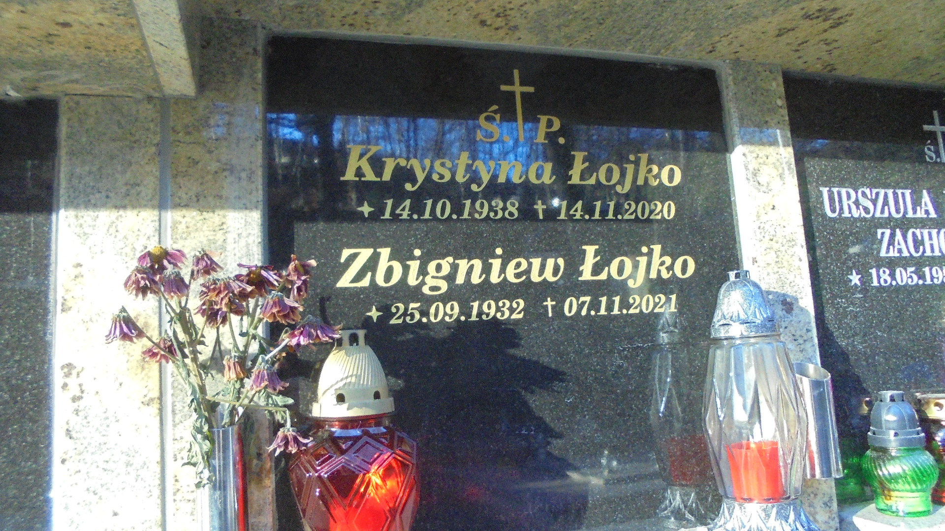 Zdjęcie grobu KRYSTYNA ŁOJKO