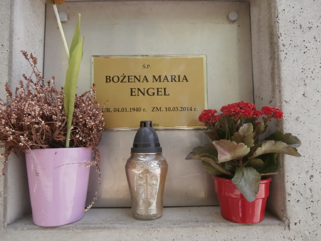 Bożena ENGEL 1940 Gdynia - Grobonet - Wyszukiwarka osób pochowanych