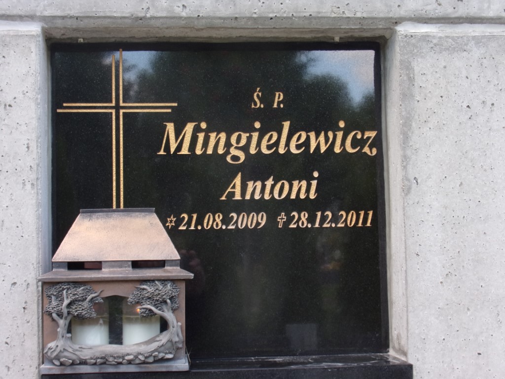 Antoni MINGIELEWICZ 2009 Gdynia - Grobonet - Wyszukiwarka osób pochowanych