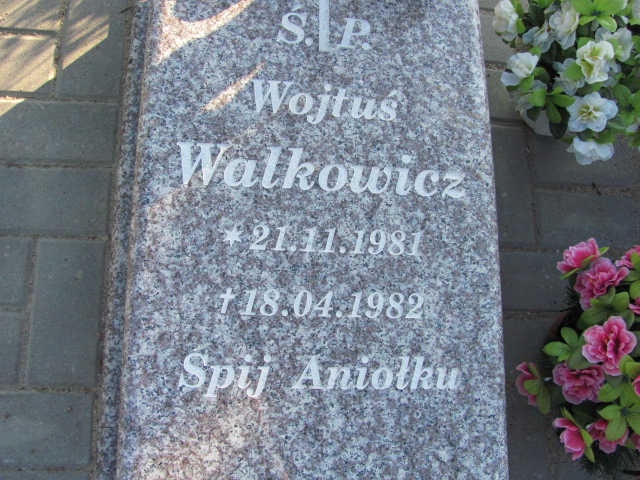 Wojciech WALKOWICZ 1981 Gdynia - Grobonet - Wyszukiwarka osób pochowanych