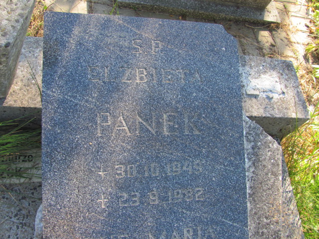 Elżbieta PANEK 1949 Gdynia - Grobonet - Wyszukiwarka osób pochowanych