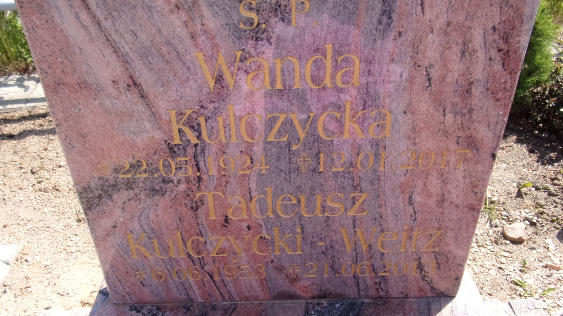 Tadeusz KULCZYCKI-WEITZ 1953 Gdynia - Grobonet - Wyszukiwarka osób pochowanych