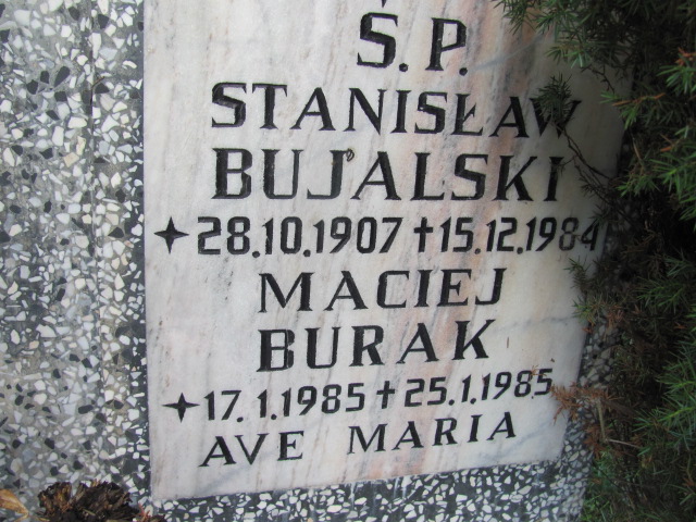 Stanisław BUJALSKI 1907 Gdynia - Grobonet - Wyszukiwarka osób pochowanych
