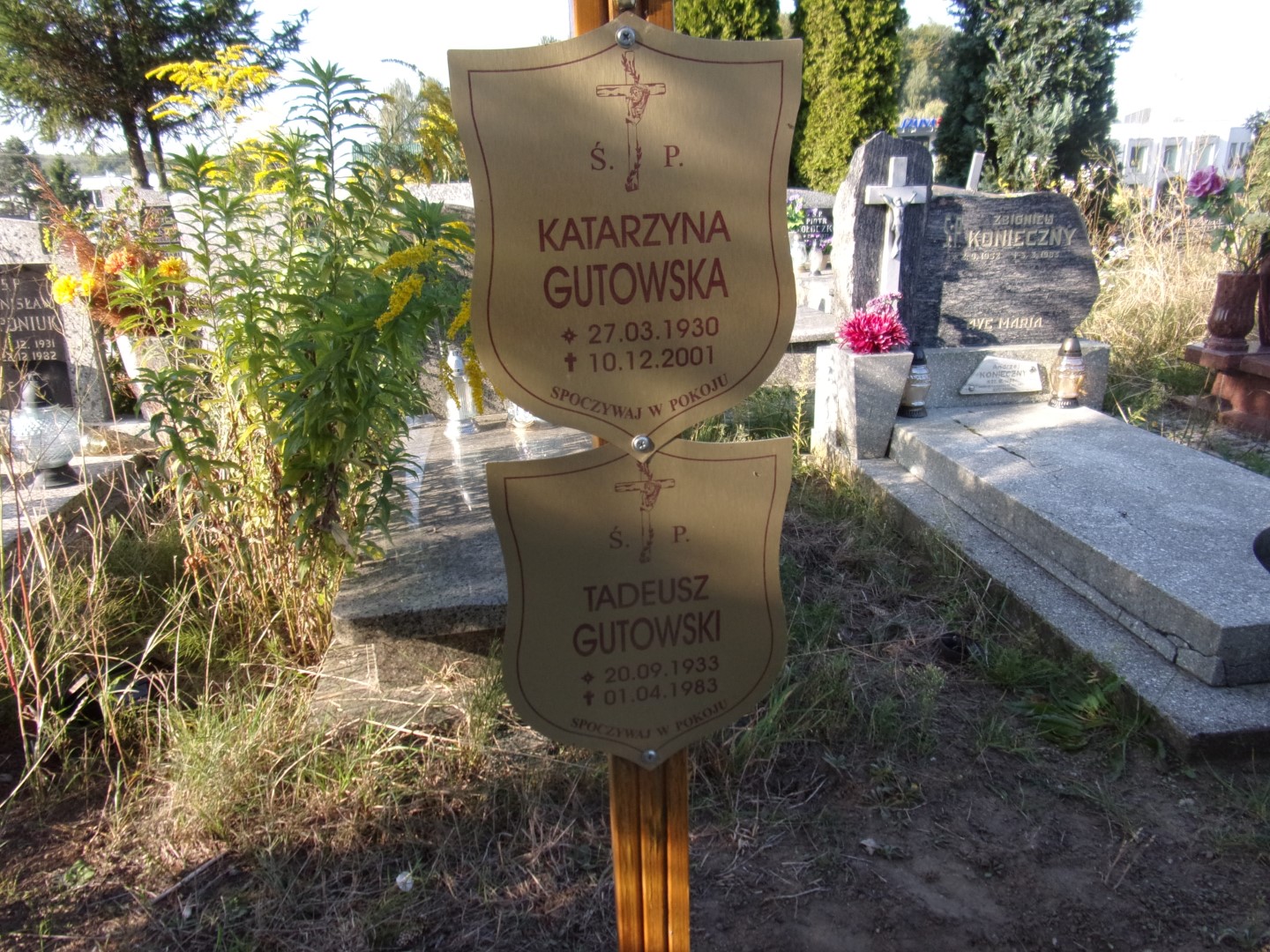 Tadeusz GUTOWSKI 1933 Gdynia - Grobonet - Wyszukiwarka osób pochowanych