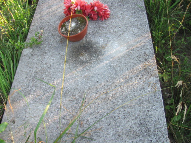 Zygmunt GAJEWSKI 1908 Gdynia - Grobonet - Wyszukiwarka osób pochowanych