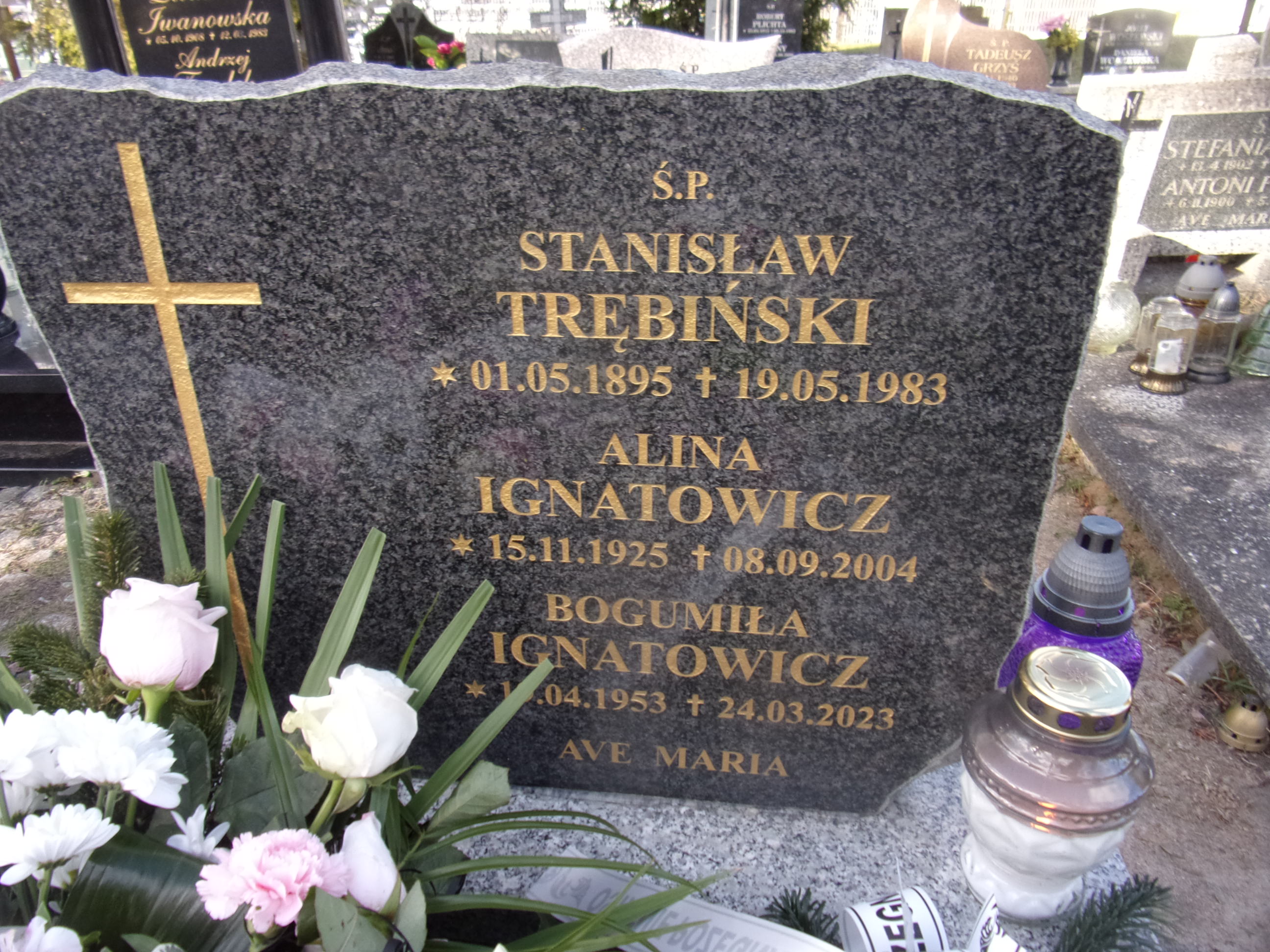 Alina IGNATOWICZ 1925 Gdynia - Grobonet - Wyszukiwarka osób pochowanych