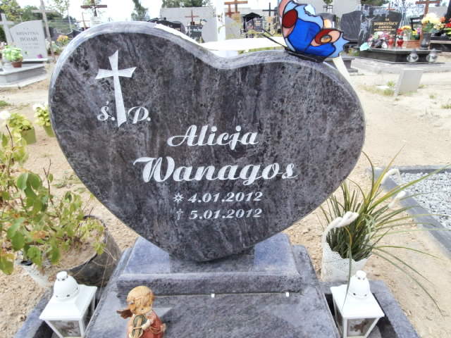 Alicja WANAGOS 2012 Gdynia - Grobonet - Wyszukiwarka osób pochowanych