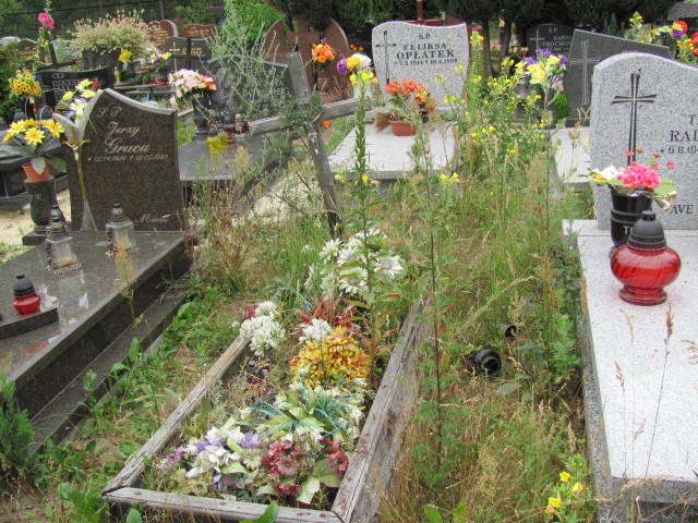 Henryk OŚLIZŁO 1950 Gdynia - Grobonet - Wyszukiwarka osób pochowanych