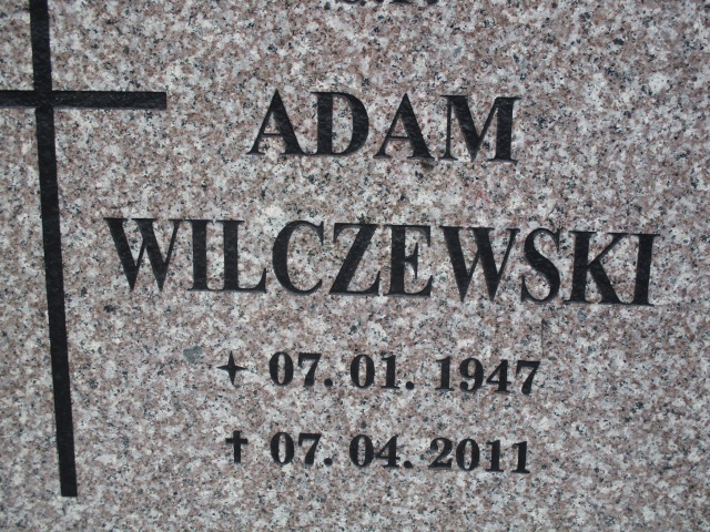 Adam WILCZEWSKI 1947 Gdynia - Grobonet - Wyszukiwarka osób pochowanych
