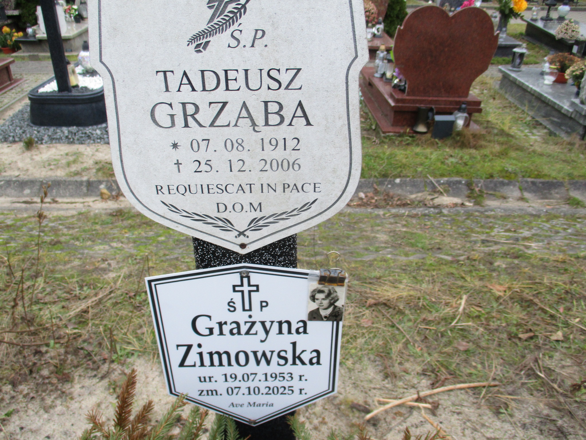 Tadeusz GRZĄBA 1912 Gdynia - Grobonet - Wyszukiwarka osób pochowanych