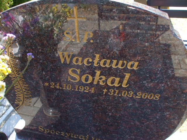 Brak danych NN-MĘŻCZYZNA Gdynia - Grobonet - Wyszukiwarka osób pochowanych