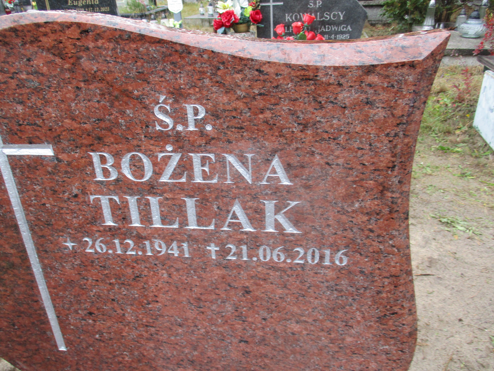 Bożena TILLAK 1941 Gdynia - Grobonet - Wyszukiwarka osób pochowanych