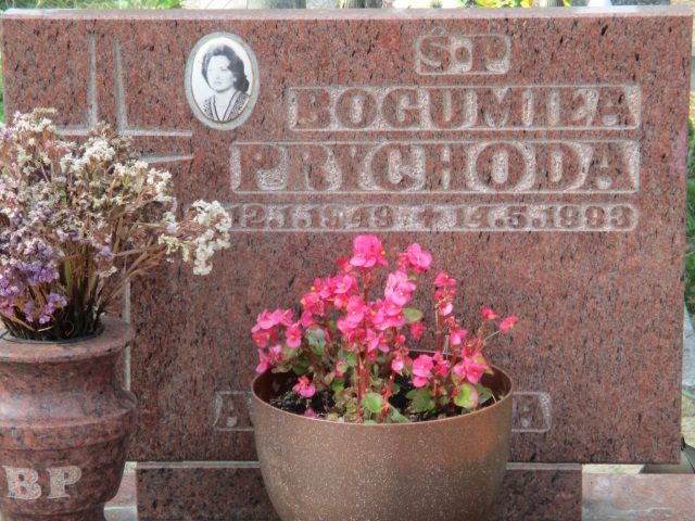 Bogumiła PRYCHODA 1949 Gdynia - Grobonet - Wyszukiwarka osób pochowanych