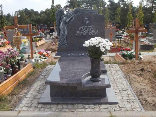 Grób APOLONIA LICZNERSKA