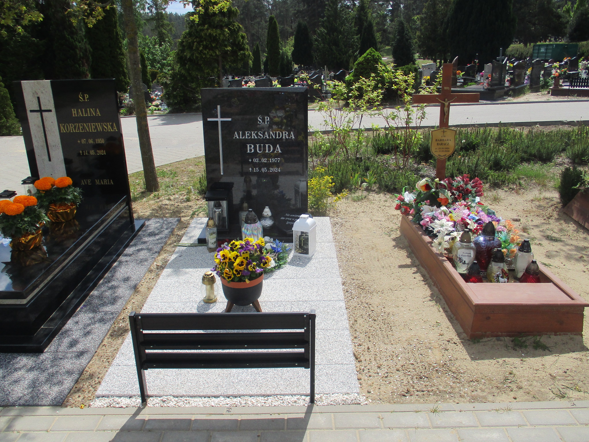 Grób ALEKSANDRA BUDA