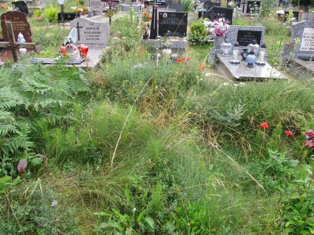 Henryk RUTKOWSKI 1944 Gdynia - Grobonet - Wyszukiwarka osób pochowanych