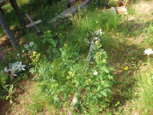 Klaudia ZAJKO 1919 Gdynia - Grobonet - Wyszukiwarka osób pochowanych